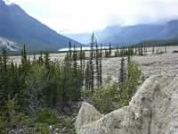 View of West Tuchodi Lake (137kb)