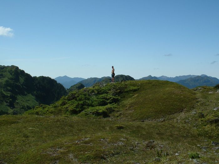 Alpine hiking Queen Charlotte style