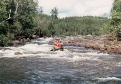 Bouncing down the Paull River