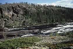 Rapids from up high