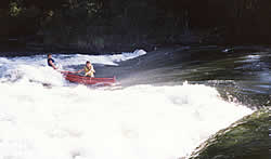 Big Surf at Far Side Rapids