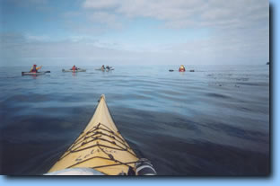 Seakayaking near Nootka Island